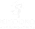 kikooko